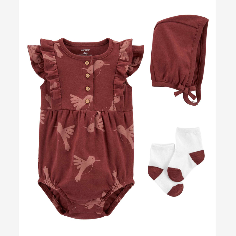 Carter's Girls 3-pc Bodysuit & Bonnet Take Me Home Set, Rust/ Hummingbirds